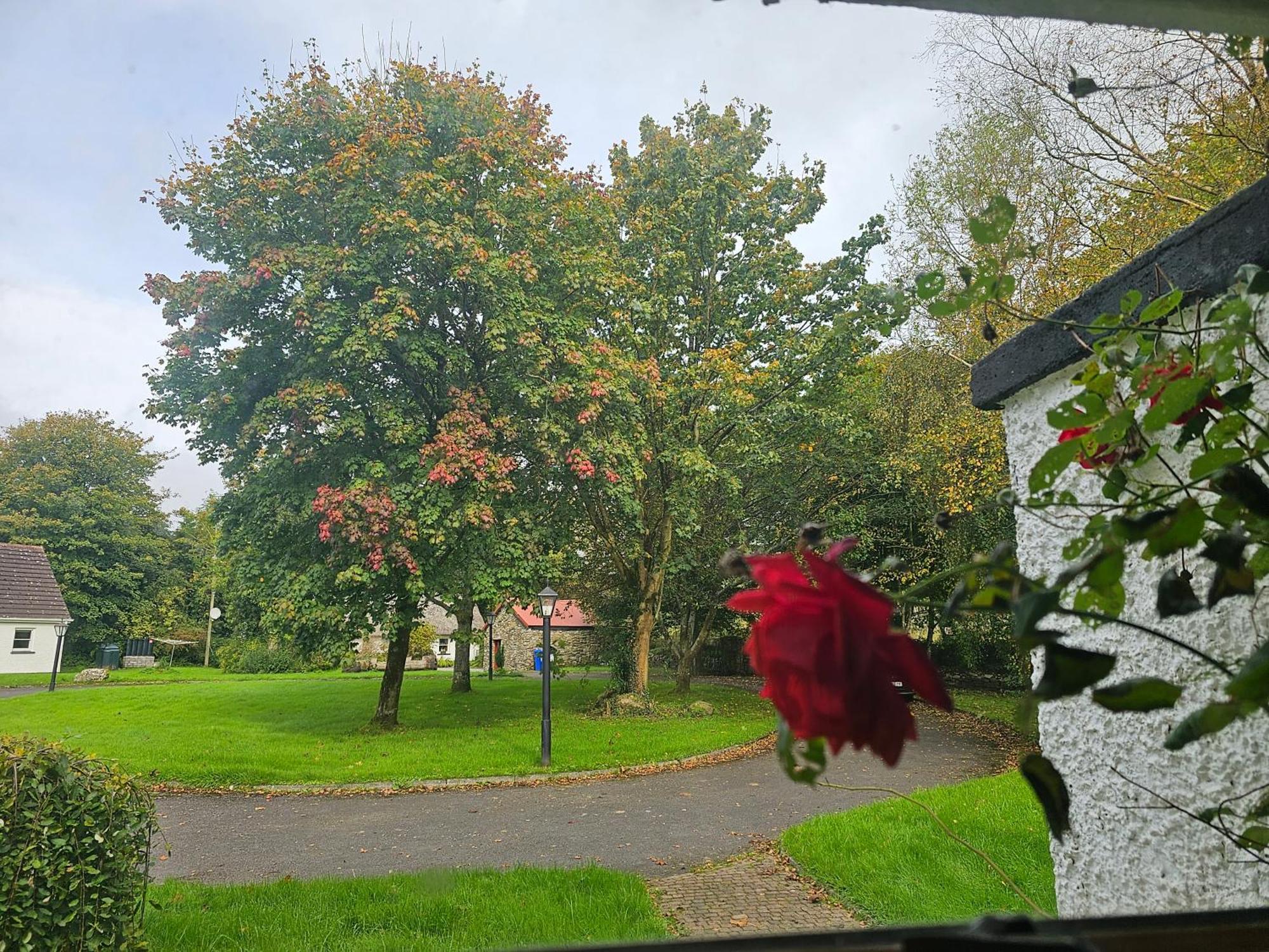 Longford Holiday Red Rose Self Catering Cottage Extérieur photo